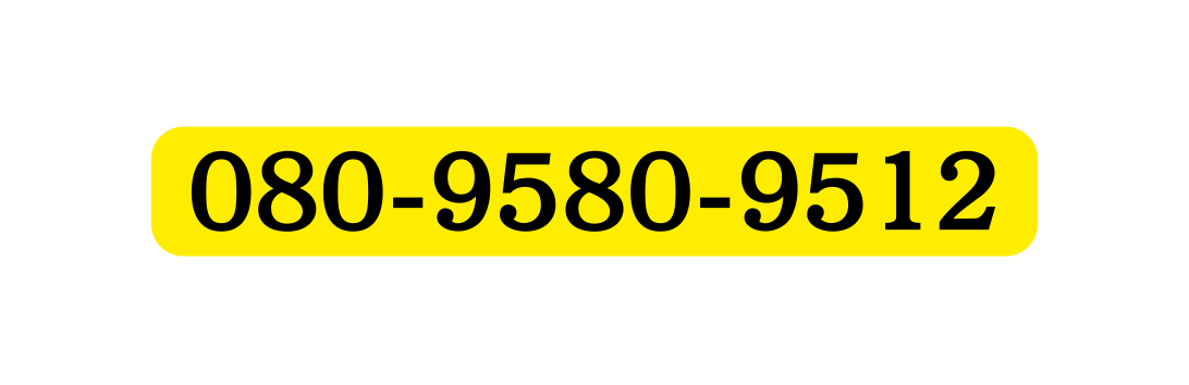 080 9580 9512