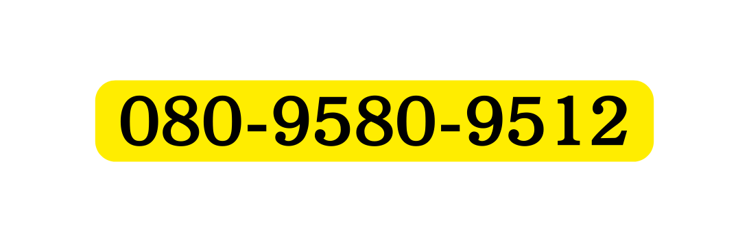 080 9580 9512