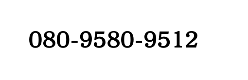 080 9580 9512